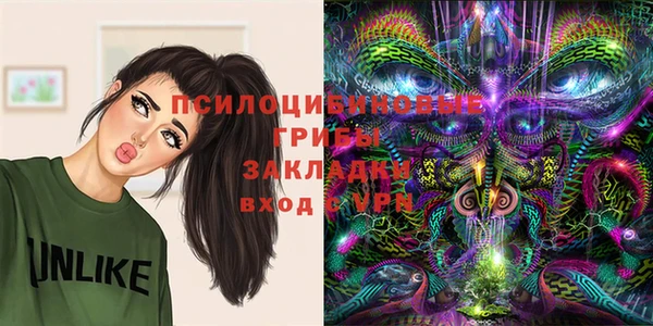 PSILOCYBIN Медвежьегорск