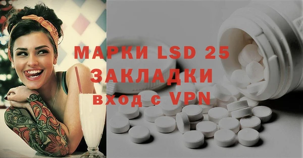 PSILOCYBIN Медвежьегорск