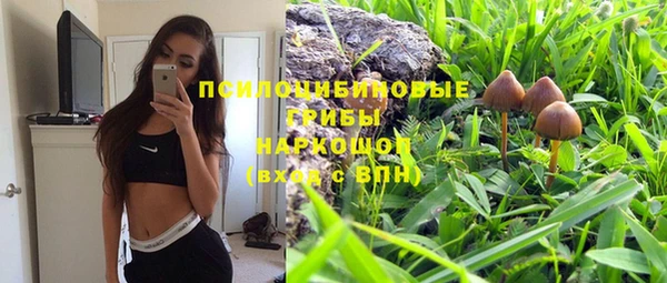соль ск Медногорск